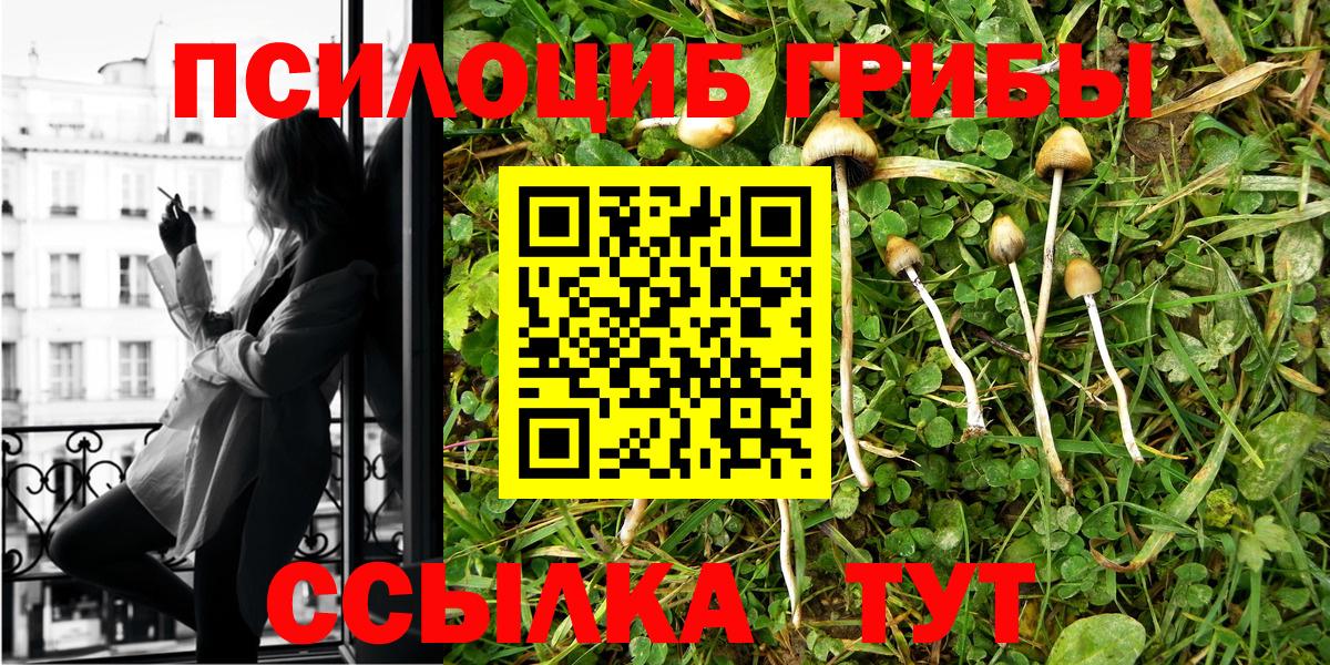 Псилоцибиновые грибы Psilocybe Гулькевичи