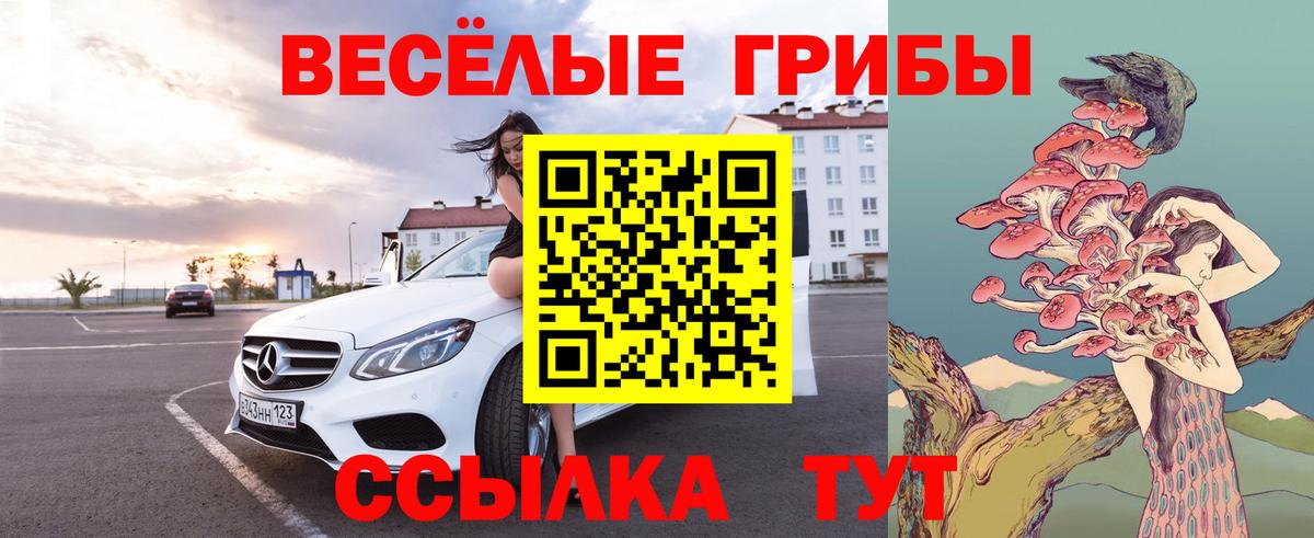 Галлюциногенные грибы Magic Shrooms  Галлюциногенные грибы ЛСД  Гулькевичи  Вход с VPN 
